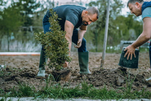 Best Tree and Shrub Care  in Union Springs, AL