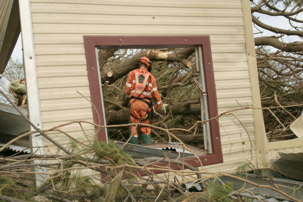 Reliable Union Springs, AL Tree Services Solutions